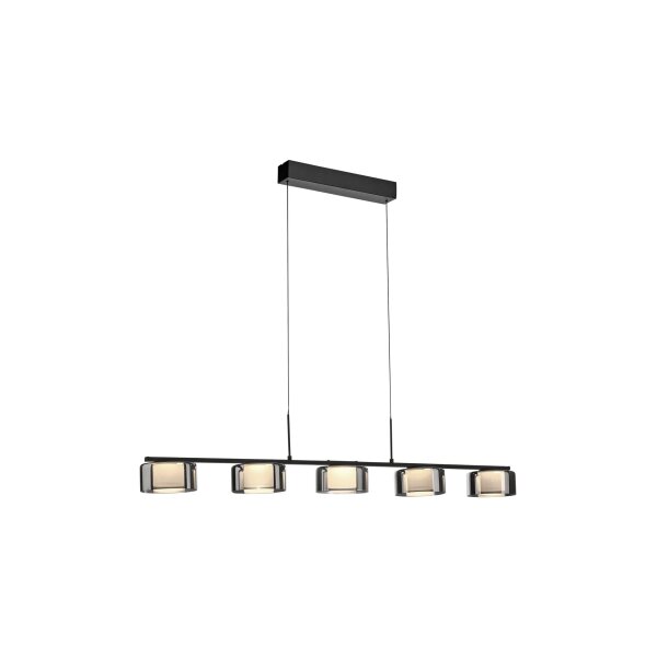 Paul Neuhaus Rika Pendelleuchte 5-flammig Schwarz & Rauchgrau - Länge ca. 119 cm