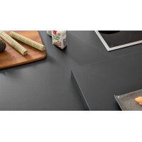 Interliving Küche Serie 3091 mit SIEMENS Einbaugeräten Schwarz - zweizeilig