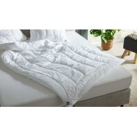 Interliving Bettdecke Serie 9202 - Faserdecke warm, ca....