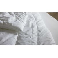 Interliving Bettdecke Serie 9202 - Faserdecke extraleicht, ca. 525 g - ca. 200 x 200 cm