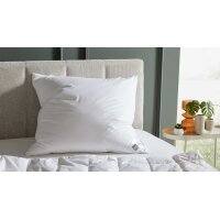 Interliving Kopfkissen Serie 9204 - Daunenkissen 70 %...
