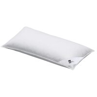 Interliving Kopfkissen Serie 9204 - Daunenkissen 70 %...