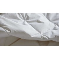 Interliving Bettdecke Serie 9204 - Daunendecke als Sommerbett extraleicht, ca. 470 g Daunen - ca. 240 x 220 cm