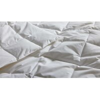 Interliving Bettdecke Serie 9204 - Daunendecke als Sommerbett extraleicht, ca. 470 g Daunen - ca. 240 x 220 cm