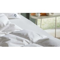 Interliving Bettdecke Serie 9204 - Daunendecke als Cassettendecke normal, ca. 1.230 g Daunen - ca. 240 x 220 cm