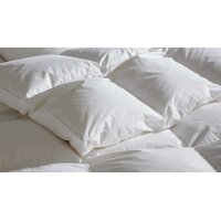 Interliving Bettdecke Serie 9204 - Daunendecke als Winterbett warm, ca. 1.640 g Daunen - ca. 240 x 220 cm