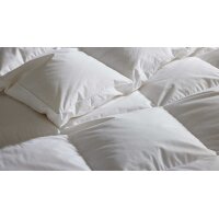 Interliving Bettdecke Serie 9204 - Daunendecke als Winterbett warm, ca. 840 g Daunen - ca. 135 x 200 cm