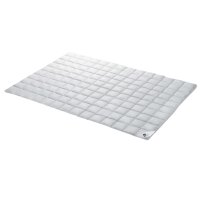 Interliving Bettdecke Serie 9205 - Daunendecke...