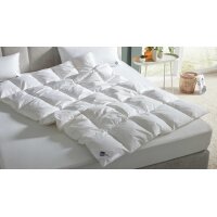 Interliving Bettdecke Serie 9212 - Cassettendecke als Daunendecke normal, ca. 1.040 g Daunen & Federn - ca. 200 x 200 cm