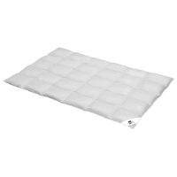 Interliving Bettdecke Serie 9212 - Cassettendecke als Daunendecke normal, ca. 1.040 g Daunen & Federn - ca. 200 x 200 cm