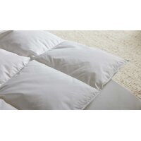 Interliving Bettdecke Serie 9212 - Cassettendecke als Daunendecke normal, ca. 1.040 g Daunen & Federn - ca. 200 x 200 cm