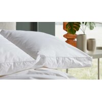 Interliving Bettdecke Serie 9212 - Daunendecke als Aussenstegdecke warm, ca. 1.960 g Daunen & Federn - ca. 240 x 220 cm