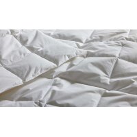 Interliving Bettdecke Serie 9212 - Cassettendecke als Daunendecke normal, ca. 1.140 g Daunen & Federn - ca. 200 x 220 cm