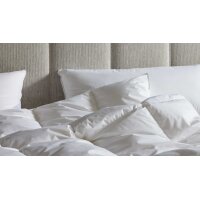 Interliving Bettdecke Serie 9212 - Cassettendecke als Daunendecke normal, ca. 1.370 g Daunen & Federn - ca. 240 x 220 cm
