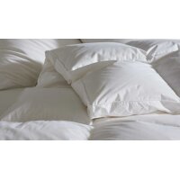 Interliving Bettdecke Serie 9212 - Daunendecke als Aussenstegdecke warm, ca. 1.000 g Daunen & Federn - ca. 135 x 200 cm