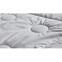 Interliving Bettdecke Serie 9206 - Naturhaardecke warm - ca. 2.900 g Kamelhaarflaum, ca. 240 x 220 cm