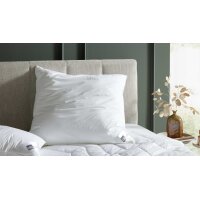 Interliving Kopfkissen Serie 9201 - Faserkissen glatter...