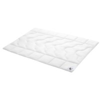 Interliving Betten-Set Serie 9210 - Faserkissen und...