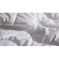 Interliving Betten-Set Serie 9210 - Faserkissen und -decke Fasern, zweiteilig - ca. 135 x 200 cm