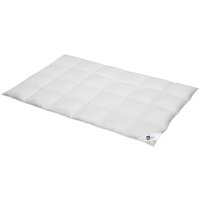 Interliving Betten-Set Serie 9211 - Daunenkissen und -decke Federn & Daunen, zweiteilig - ca. 135 x 200 cm