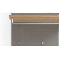 VOSS MÖBEL Wandgarderobe Santina als praktisches Dielenmöbel taupefarbenes Glas, Metall & Eichefurnier – ca. 80 x 170 cm