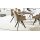 Interliving Esszimmer Serie 5102 – Armlehnstuhl sandfarbene Mikrofaser Atlantis 914 & schwarzes Eisen