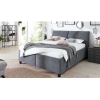 Interliving Bettsystem Serie 1414 - Polsterbett...