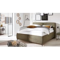 Interliving Bettsystem Serie 1414 - Polsterbett...
