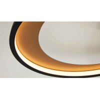 Interliving Leuchten Serie 9337 - Deckenleuchte Mattschwarz & Gold – ca. 69 x 60 cm