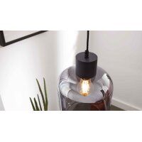 Interliving Leuchten Serie 9341 - Hängeleuchte Rauchglas & Mattschwarz – Durchmesser ca. 20 cm