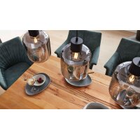 Interliving Leuchten Serie 9341 - Hängeleuchte Rauchglas & Mattschwarz – Länge ca. 115 cm