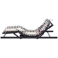Interliving Lattenrost Serie 1950 mit Funksteuerung Funk...