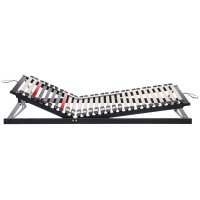 Interliving Lattenrost Serie 1950 mit Hebehilfe mit...