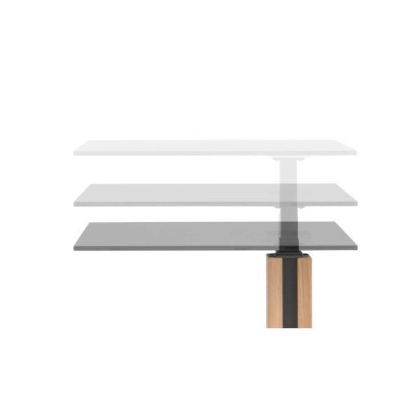 Interliving Couchtisch Serie 6211 - Beistelltisch graues Parsolglas & Wildeiche - ca. 55 x 47 cm