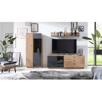 Interliving Wohnzimmer Serie 2025 - Wohnwand Wildeiche,...