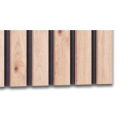 Wandgarderobe Tip 3 Artisaneiche & Schwarz – ca. 45 x 90 cm