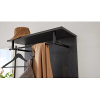 Interliving Garderobe Serie 6012 - Wandgarderobe Räuchereiche - ca. 80 x 180 cm
