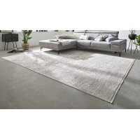 Interliving Teppich Serie L-8710 Silber – ca. 160 x...