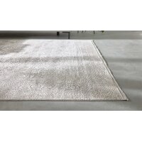 Interliving Teppich Serie L-8710 Silber – ca. 160 x 230 cm