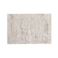 Interliving Teppich Serie L-8710 Silber – ca. 160 x 230 cm