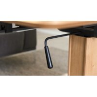 Interliving Couchtisch Serie 6223 - Couchtisch Wildeiche & Graphitschwarz - ca. 120 x 70 cm