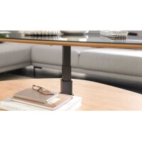 Interliving Couchtisch Serie 6225 - Couchtisch Anthrazit & Wildeiche - ca. 123 x 69 cm