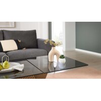 Interliving Couchtisch Serie 6226 - Couchtisch graues Parsolglas & Wildeiche - ca. 110 x 65 cm