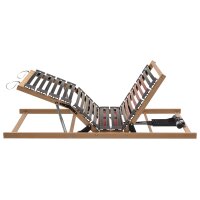 Interliving Lattenrost Serie 1952 mit zwei Motoren...