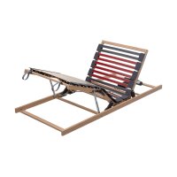 Interliving Lattenrost Serie 1952 mit zwei Motoren zweifach motorisch mit Handschalter – Liegefläche ca. 90 x 200 cm