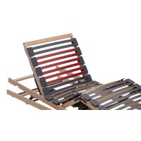 Interliving Lattenrost Serie 1952 mit Refluxfunktion und...