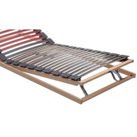 Interliving Lattenrost Serie 1952 mit manueller Kopf- und...