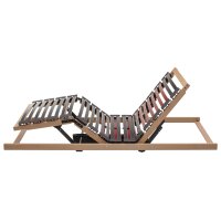 Interliving Lattenrost Serie 1952 mit zwei Motoren zweifach motorisch mit Handschalter – Liegefläche ca. 90 x 200 cm