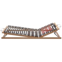 Interliving Lattenrost Serie 1953 mit langen Verstellzonen manuell verstellbar – Liegefläche ca. 90 x 200 cm