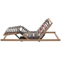 Interliving Lattenrost Serie 1953 mit zwei Motoren zweifach motorisch mit Handschalter – Liegefläche ca. 90 x 200 cm